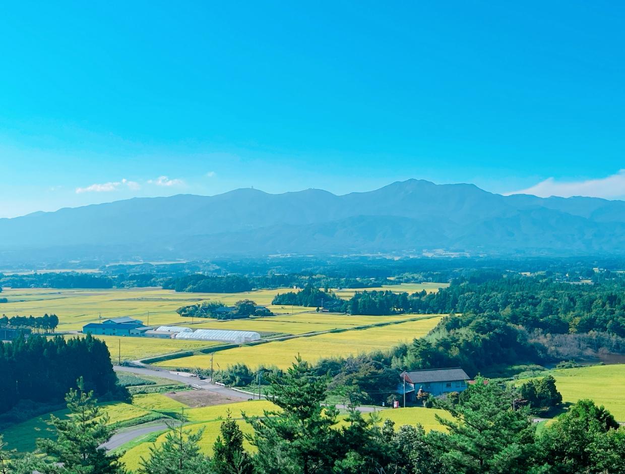 有名な産地だけにこだわらず、食味を通して、儀兵衛基準の「おいしいお米」のみ厳選