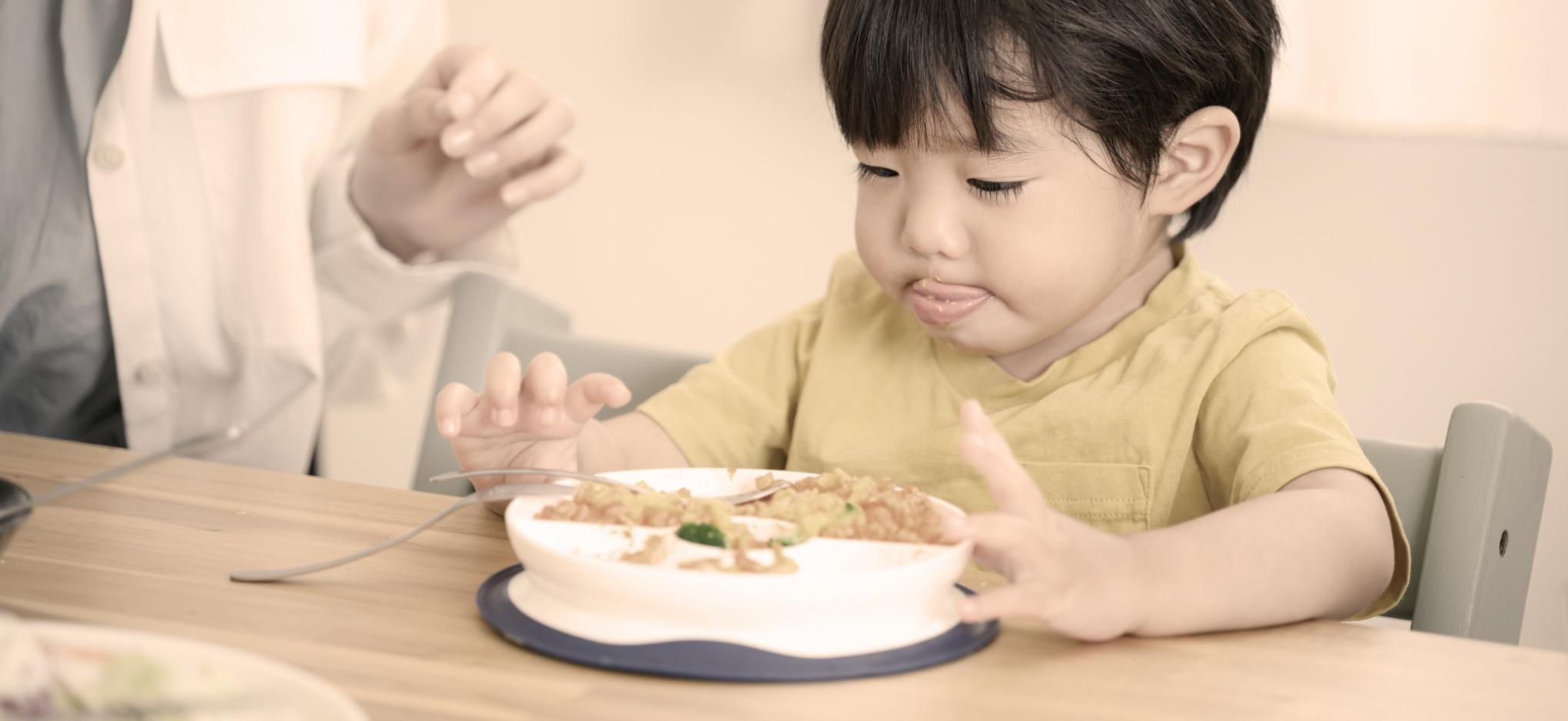 子供たちはごはんに味がないから食べないという事実